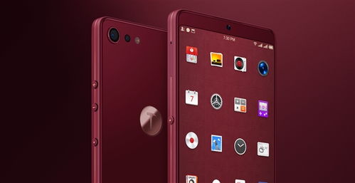 坚果Pro 2防抖效果引热议，罗永浩犀利点评彰显坚果科技态度